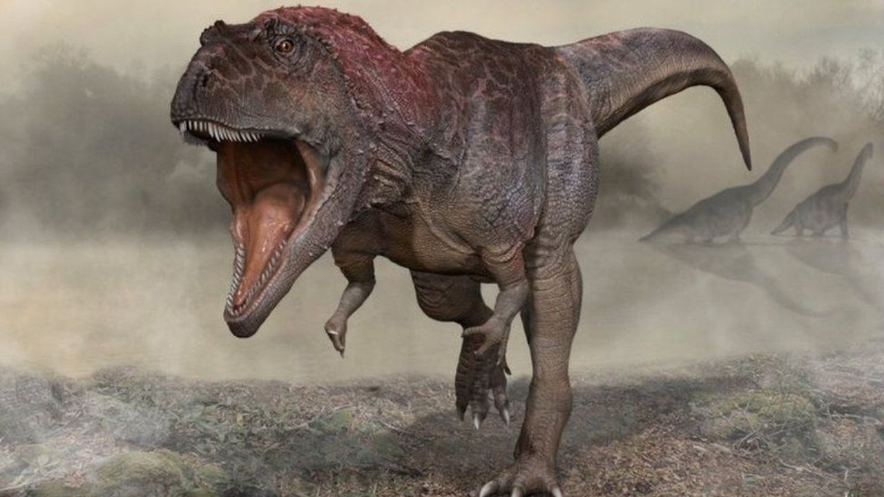 T-rex'in kollarının neden küçük olduğuna dair bir ipucu bulundu!
