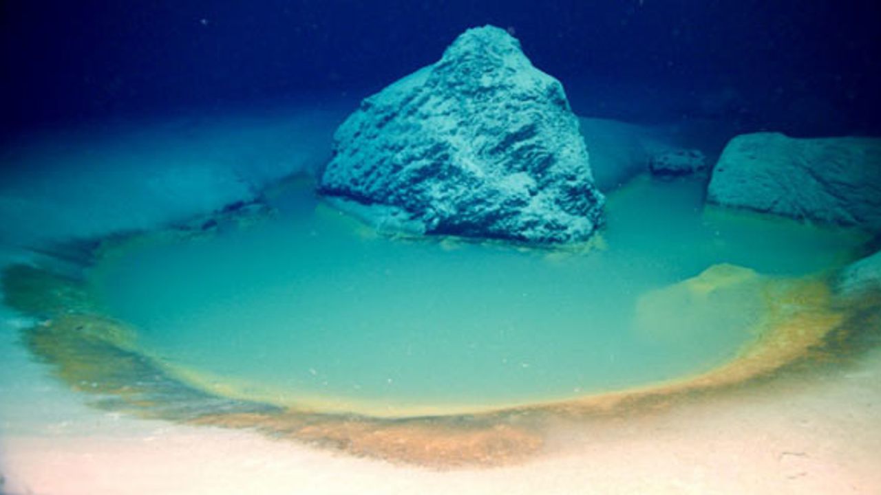 Deniz araştırmacıları Kızıldeniz'in dibinde yer alan yeni su altı havuzları keşfetti!