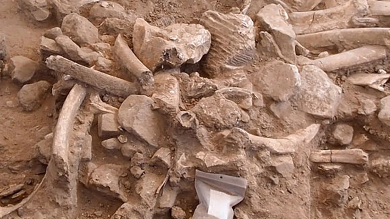 Arkeologlar, 37.000 yıl önce insanların New Mexico'da yaşadığını keşfetti!
