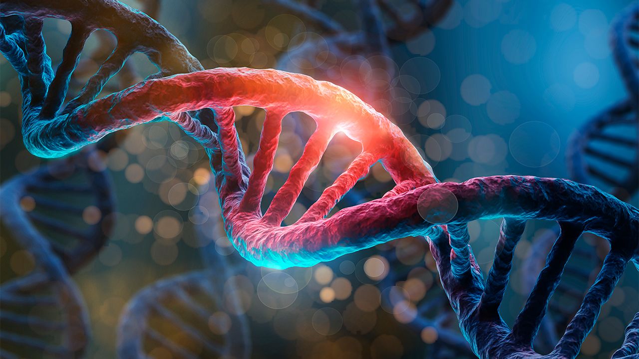 Otizmle bağlantılı olan 60 yeni gen tanımlandı