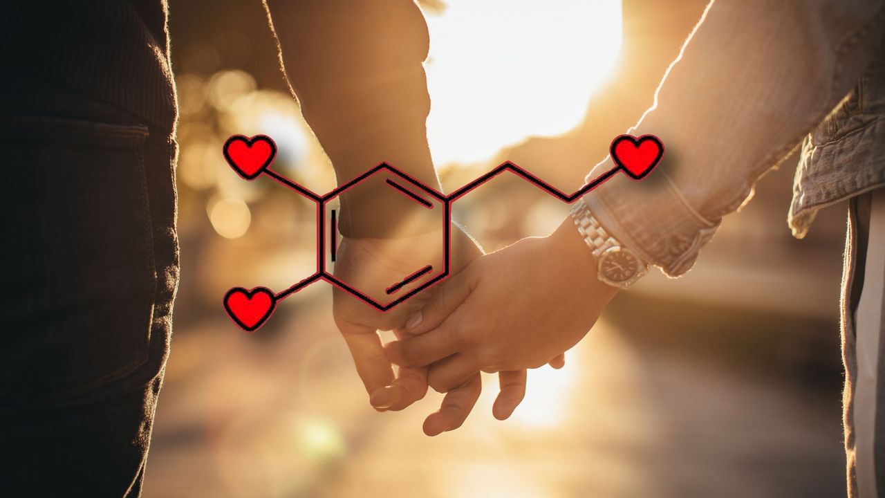 "Aşk Hormonu" olarak bilinen Oksitosin hormonu, kalp kırıklıklarınıza iyi gelecek! Tedavi yolda!