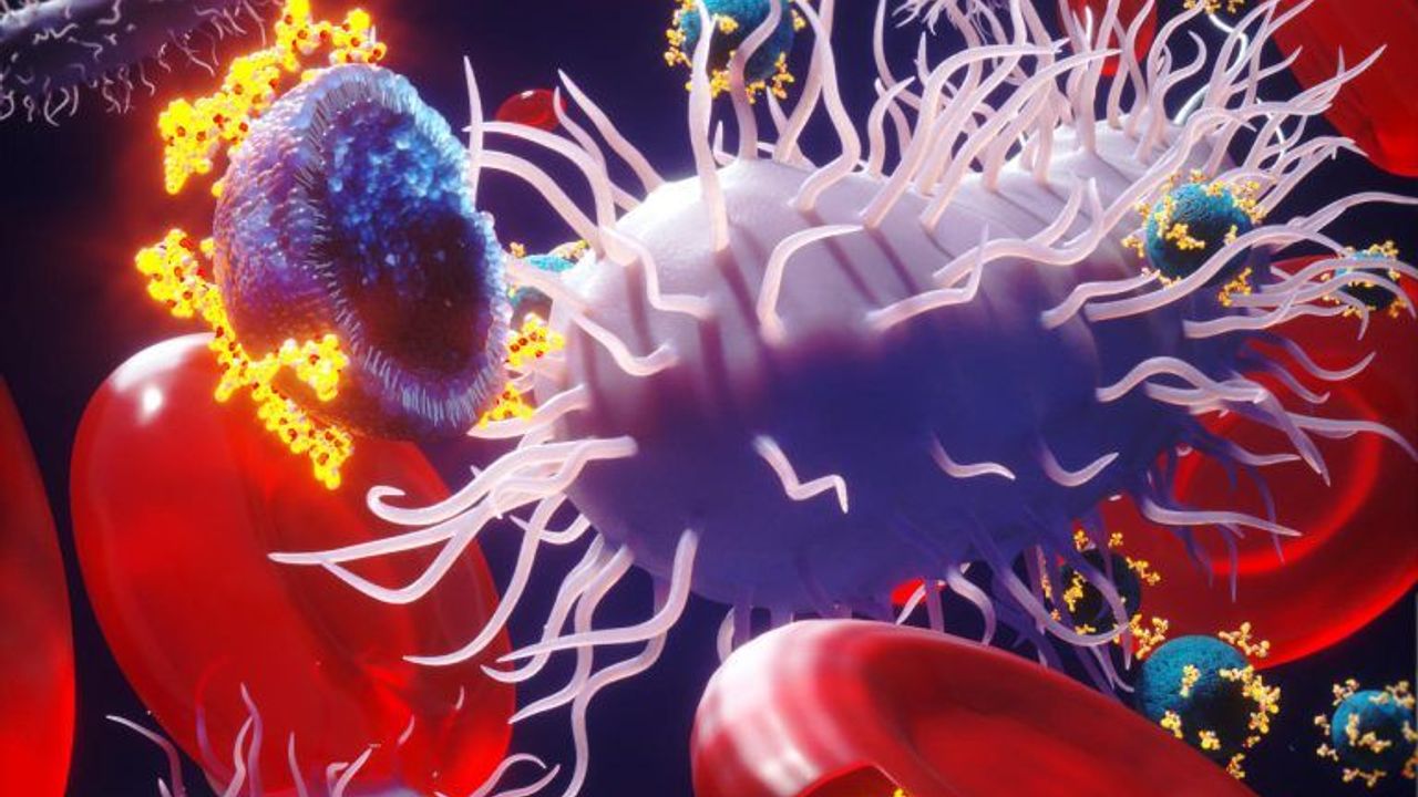 Gittikçe zayıflayan antibiyotiklerin yerini akıllı kırmızı kan hücreleri mi alacak?