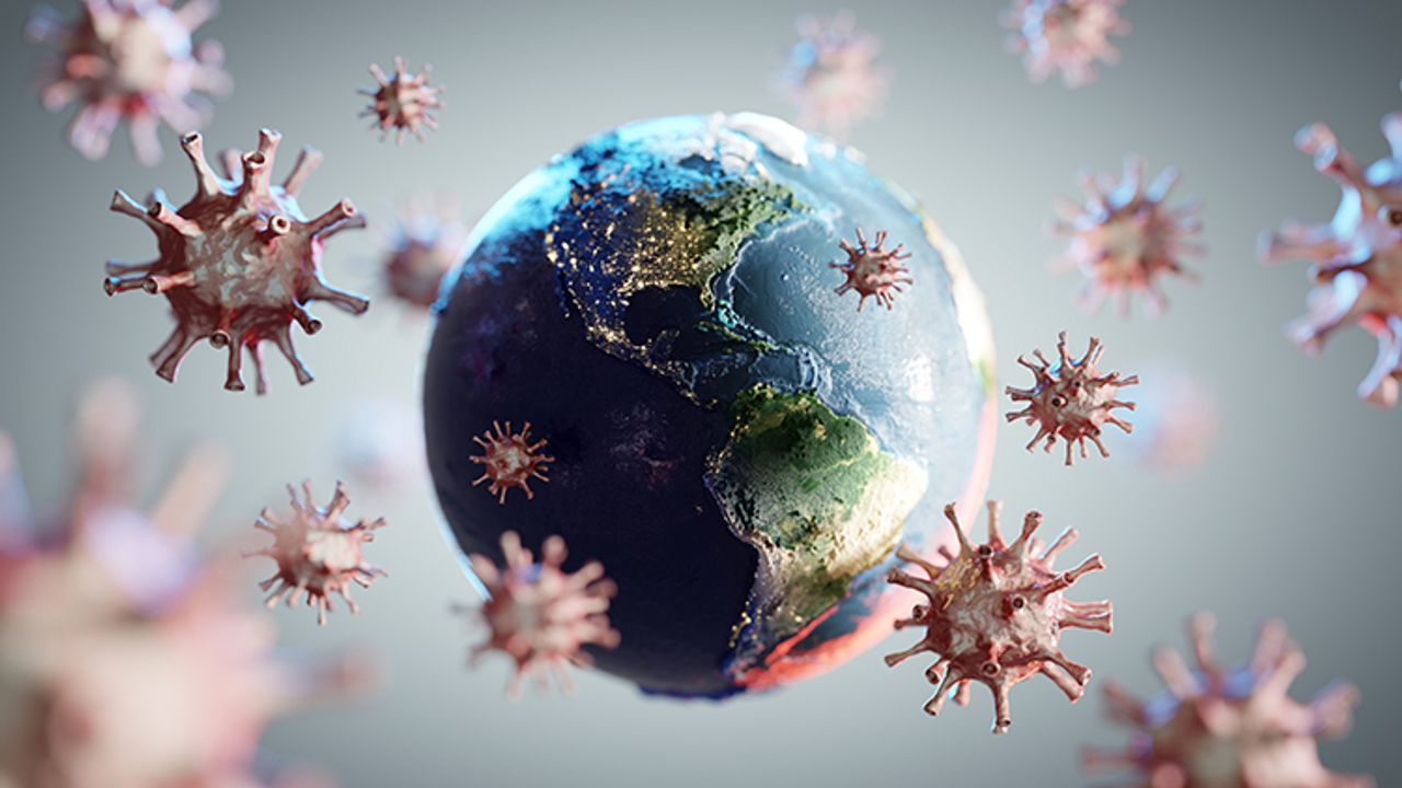Dünyanın yüzde 30'unu enfekte eden 'zombi' virüsü: Toksoplazma