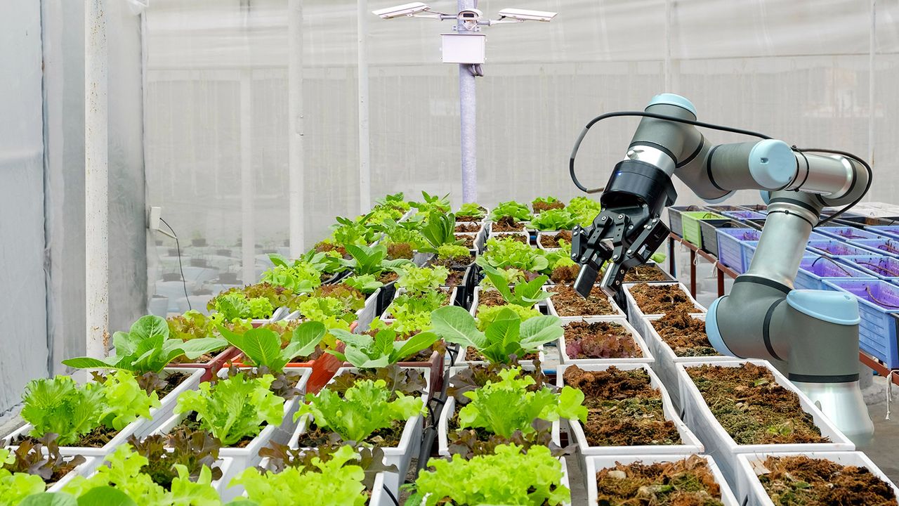 Tarım sektöründe robot ve yapay zeka teknolojisi kullanılıyor!