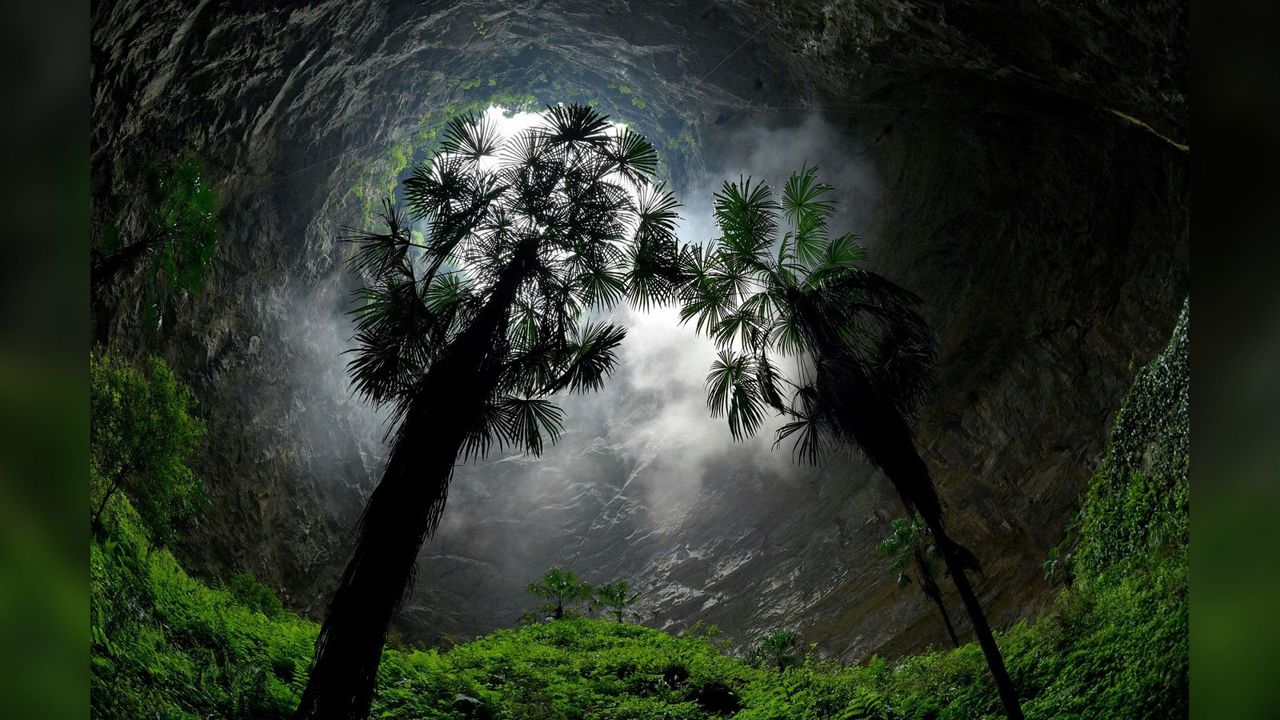 Yerin 200 metre altında antik bir orman keşfedildi!