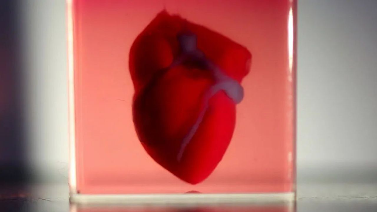 3B Biyo yazıcıyla kalp parçası ürettiler!