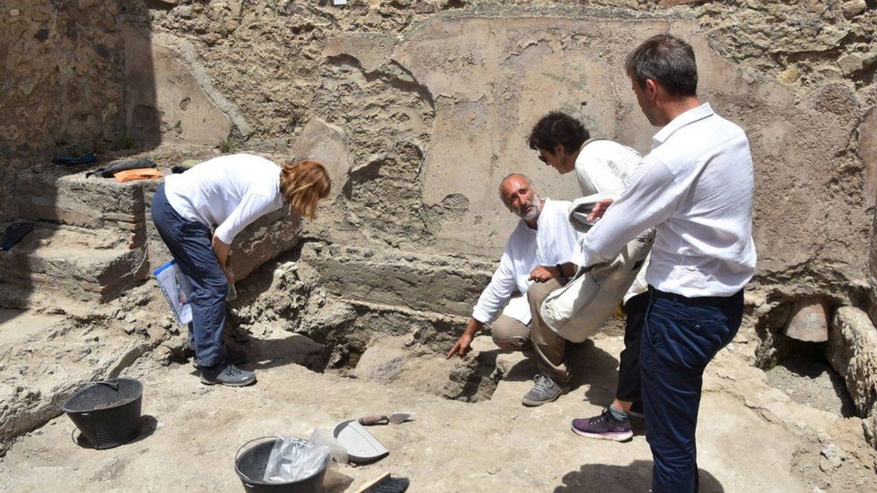 Pompeii kurbanı hamile kaplumbağa arkeologları şaşırttı!