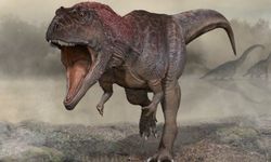 T-rex'in kollarının neden küçük olduğuna dair bir ipucu bulundu!