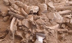 Arkeologlar, 37.000 yıl önce insanların New Mexico'da yaşadığını keşfetti!