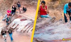 Evinin bahçesinde 24 metrelik dinozor iskeleti keşfetti!