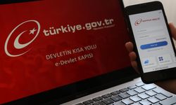 Türkiye'de kaç insan e-Devlet kullanıyor? Hiç kullanmamış olan milyonlar var...