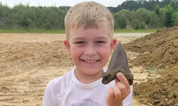 8 yaşındaki çocuk milyonlarca yıllık bir dev köpekbalığı dişi buldu!