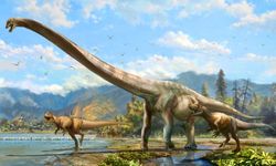 Uzun boyunlu yeni dinozor türleri keşfedildi