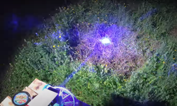 Bir YouTuber, lazer ışını ile çimleri kesen çim biçme robotu yaptı