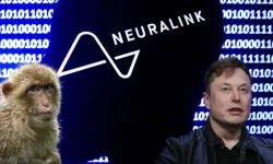 Neuralink maymunlarını Elon Musk'ın elinden kurtarmak için dava açıldı