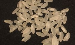 Araştırmacılar daha iyi ve daha az toksik olan bir pirinç türü üretti