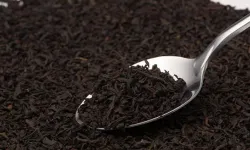 Siyah çay içmek ömrü mü uzatıyor?