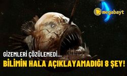 Bilimin hala açıklayamadığı 8 gizem