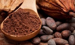 Kakaoyu ilk olarak hangi toplum kullandı? İnsan kurban ederken sıcak çikolata içiyorlardı