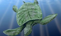 78 milyon yıllık devasa kaplumbağa: Leviathanochelys aenigmatica