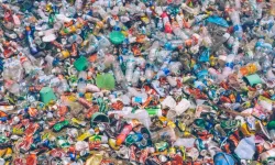 Doğada parçalanabilir plastiklerin yüzde 60'ının parçalanmadığı keşfedildi!
