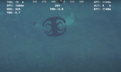 Okyanusun 1.130 metre altında bulunan 'uzaylı yaratık' sosyal medyayı salladı -VİDEO