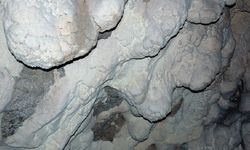 Bilim insanları, kireç mağaralara gizlenmiş 'eczane' keşfetti