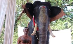 PETA, Hindistan'ın din gelenekleriyle adeta dalga geçti: Tapınağa robot fil bağışladılar