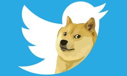 Elon Musk'ın Twitter logosunu uğruna değiştirdiği köpeğin olayı ne?
