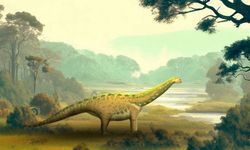 Mısır'da 75 milyon yıllık bir dinozor fosili keşfedildi!