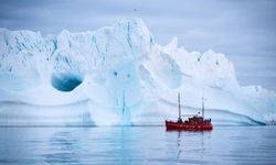 Grönland buzullarında saklı dev virüs izleri keşfedildi
