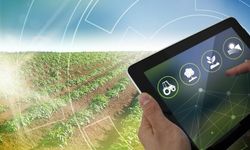 Akıllı tarım teknolojisi!