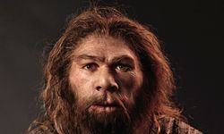 Dünyanın en eski ayak izi bulundu! Neandertal bir çocuğa ait...