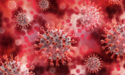 Koronavirüs kanserli hastalarda iyileşmeye mi yol açıyor?