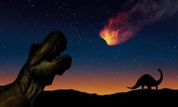 Asteroid tozları canlı nesillerinin tükenmesine ışık tutuyor!