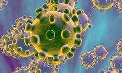 Koronavirüs yüzeyden bulaşıyor mu? ABD'li uzmanlar açıkladı