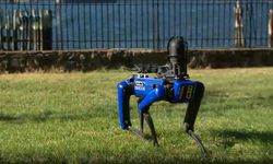 Polis, Boston Dynamics robotunu kovdu