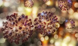 Koronavirüsün 18 farklı mutasyonunun özelliklerini taşıyan yeni bir tür bulundu!
