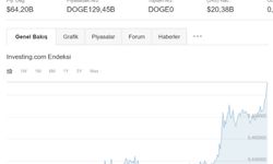 Dogecoin rekor kırmaya devam ediyor