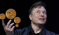 Bitcoin yatırımcısının korkulu rüyası Elon Musk yine yaptı yapacağını!