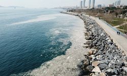 Türkiye'deki 'Deniz Salyası' sorunu dünya basını gündeminde: Marmara Denizi ölüyor...
