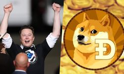 Elon Musk'tan Dogecoin anketi!