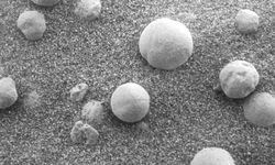 Mars yüzeyinde mantar benzeri oluşumlar tespit edildi! İşte Mars'ta yaşam belirtileri...