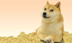 Dogecoin geliştiricisinden kripto para yatırımcılarına uyarı!