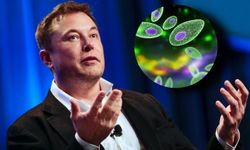 Elon Musk: Toksoplazma paraziti insanlığı yönetecek