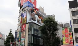 Yine Japonlar! Dev 3D kedi yeni yuvasını buldu...