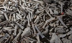 Dev mağarada yüz binlerce kemik bulundu! İnsan kemiği de var...