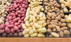 Araştırma: Patates yiyen gençler daha sağlıklı