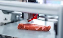 Dünyanın en pahalı etlerinden biri 3D yazıcı kullanılarak üretildi!