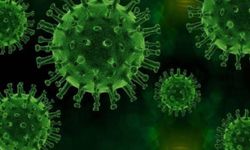 Dünya Sağlık Örgütü, yeni bir koronavirüs varyantının ortaya çıktığını açıkladı!